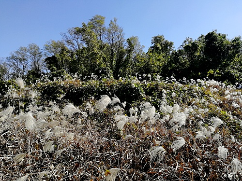 濟南錦屏山